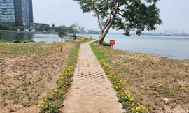 Thực hư việc đổ đất, làm kè lấn chiếm hồ Tây