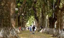 Khách du lịch đến Hà Nội tăng gấp 5 lần so với năm 2021