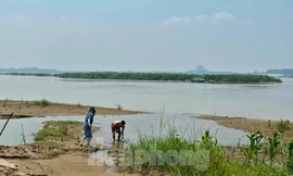 Hà Nội chấp thuận đề án xây dựng công viên văn hoá tại bãi giữa sông Hồng