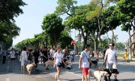 Từ tối nay, cấm chó không rọ mõm vào phố đi bộ