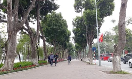 Hà Nội bỏ ý tưởng 'Đại lộ danh vọng' bên Hồ Gươm