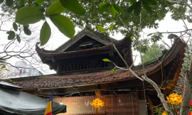Hà Nội di dời 63 hộ dân để tu bổ di tích Gò Đống Thây