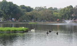 Hồ Thiền Quang tại quận Hai Bà Trưng