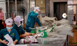 Một doanh nghiệp sản xuất hàng thực phẩm tại Hà Nội. Ảnh minh họa