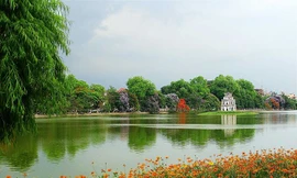 Dự án cải tạo Hồ Gươm không có phương án thay thế cây xanh