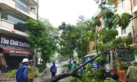  Điện lực Hà Nội bác bỏ tin cắt điện toàn thành phố lúc 19h