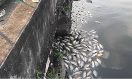 Cống xả thải sau sân bóng Trường THCS Chu Văn An