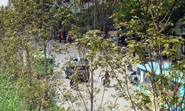 Loạt cây phong Hà Nội lá chớm đỏ đã tàn?