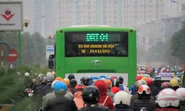 Vì sao phải lắp phân cách cứng phục vụ buýt BRT?