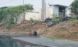 Cận cảnh 'mương chết' nghi đầu độc hàng chục ha rau sạch