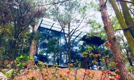 Biệt thự nghỉ dưỡng Choai Villa Sóc Sơn