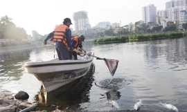 200kg cá chết tại hồ Hoàng Cầu do thời tiết