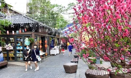 9 ngày hoạt động, doanh thu Phố sách Xuân Hà Nội ước đạt trên 6 tỷ đồng