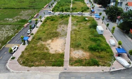 Sau phiên đấu giá 'khủng', huyện Thanh Oai tiếp tục đấu giá đất: Khởi điểm hơn 8 triệu đồng/m2