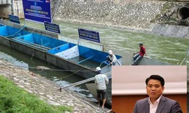 Tổ chức Nhật Bản gửi lời xin lỗi Chủ tịch Hà Nội