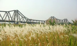 Khu vực bãi giữa sông Hồng. Ảnh minh họa