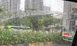 Xác minh thông tin công nhân phun nước tưới cây giữa trời mưa to ở Hà Nội