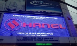 Chậm đăng ký giao dịch chứng khoán, Hanel bị phạt 300 triệu đồng