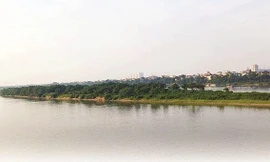 Hà Nội đề xuất quy hoạch khu bảo vệ chim di cư ở bãi giữa sông Hồng