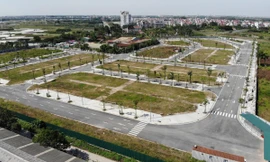 Ai đã phê duyệt giá khởi điểm cho dự án của Chủ tịch Vimedimex?