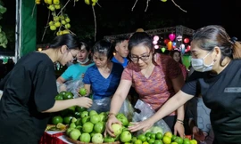 Lễ hội trái cây 2022 thu hút đông đảo người dân tham gia. Ảnh: Vũ Cường