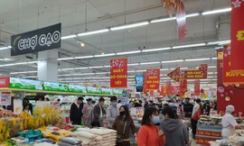 Hà Nội hỗ trợ tiêu thụ 300 tấn rau củ cho Hải Dương, Quảng Ninh dịp Tết