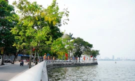Hà Nội thành lập Ban Quản lý Hồ Tây