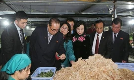 Phó Chủ tịch Triều Tiên ấn tượng với nữ lãnh đạo hợp tác xã