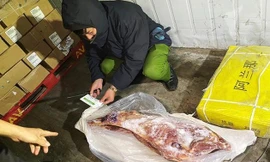 Thực phẩm đông lạnh quá hạn bị thu giữ