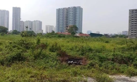 Nhiều dự án bỏ hoang qua nhiều năm gây bức xúc