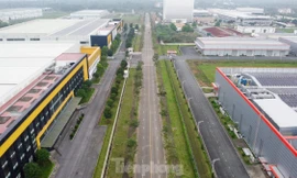 Bàn giao 169ha mặt bằng cho Khu Công nghệ cao Hòa Lạc trong năm 2024