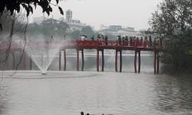 Xuất hiện đàn vịt bơi tung tăng ở Hồ Gươm