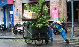 Hà Nội: Căng mình dọn dẹp sau bão 