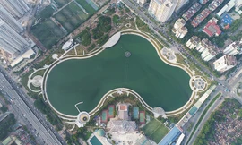 Ảnh minh họa. Ảnh: HNM