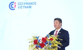 Tạo mọi điều kiện thuận lợi để nhà đầu tư Pháp đầu tư kinh doanh tại Việt Nam