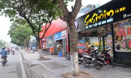 Thêm 14.000 m2 đất dự án bãi đỗ xe bị 'xẻ thịt' làm nhà hàng