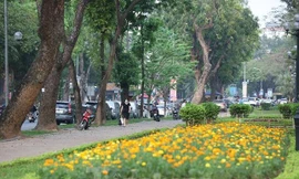 Không gian đi bộ hồ Thiền Quang mặt phố Trần Nhân Tông