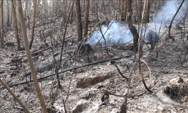 Hơn 20ha rừng sản xuất bị cháy ở Vĩnh Phúc 