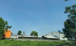 Nhà xưởng mọc tràn lan trên những mảnh đất lâm trường do hợp tác xã giao khoán.