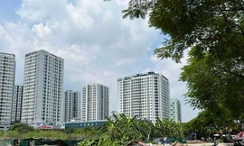 Bí thư Hà Nội: Chấm dứt tình trạng quy hoạch trường học, bệnh viện vào bãi tha ma