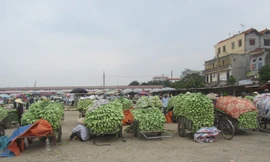 Hà Nội muốn xây chợ đầu mối 250 triệu USD kiểm soát thực phẩm