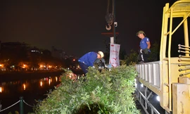 Xuyên đêm di dời hàng cây nhãn 30 năm tuổi trên phố đi bộ Trịnh Công Sơn