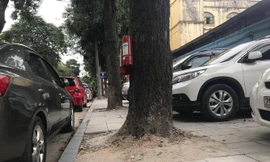 Bạn đọc phản đối lát vỉa hè theo phong trào