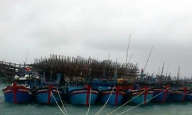 Trường Sa sẵn sàng đối phó với bão