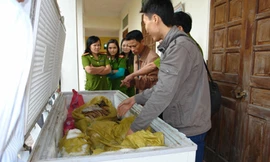 Công an tỉnh Nghệ An chuyển giao động vật hoang dã tịch thu được cho Bảo tàng Thiên nhiên Việt Nam tháng 10- 2010. Ảnh: Mỹ Hằng