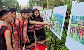 Nhiều hoạt động trong Tháng hành động vì bình đẳng giới ở Gia Lai