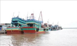 Xác minh 4.000 tàu cá không bật giám sát hành trình