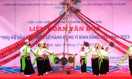 Phụ nữ dân tộc thiểu số hành động vì bình đẳng giới