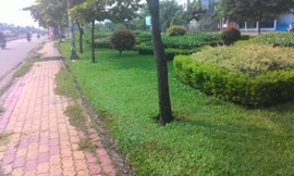 Nơi phát hiện thi thể.