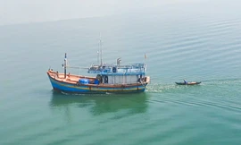 CLIP: ‘Người hùng’ chèo xuồng ra giữa đầm Thị Nại cứu nạn nhân nhảy cầu